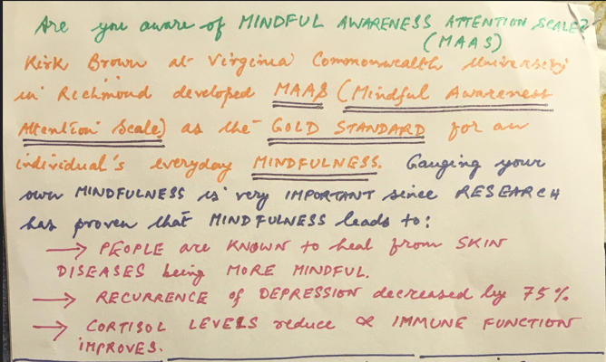 Are you aware of MINDFUL AWARENESS ATTENTION SCALE?