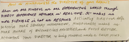 Why is Mindfulness the Director of Brain?