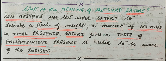 What does SATORI mean?