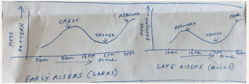 When do you feel MOST PRODUCTIVE?