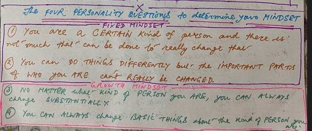 FOUR  QUESTIONS to gauge MINDSET