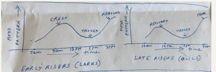 Unleash Peak Productivity