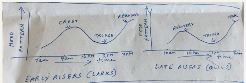 Build your Daily Mood Tracker
