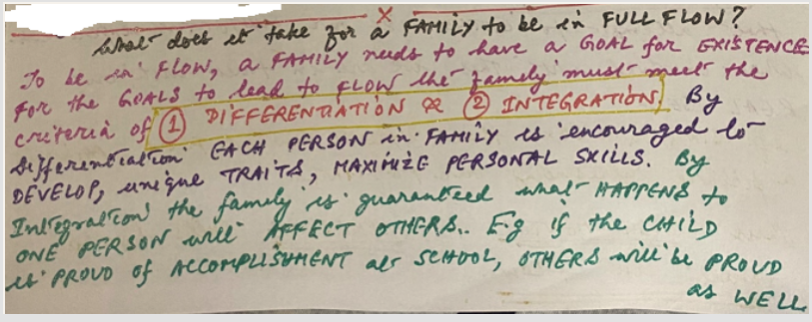 FAMILIES in FLOW do THIS