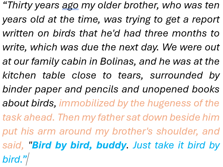 Approaching a Problem Bird by Bird