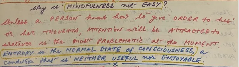 Merits of Mindful Hobbies